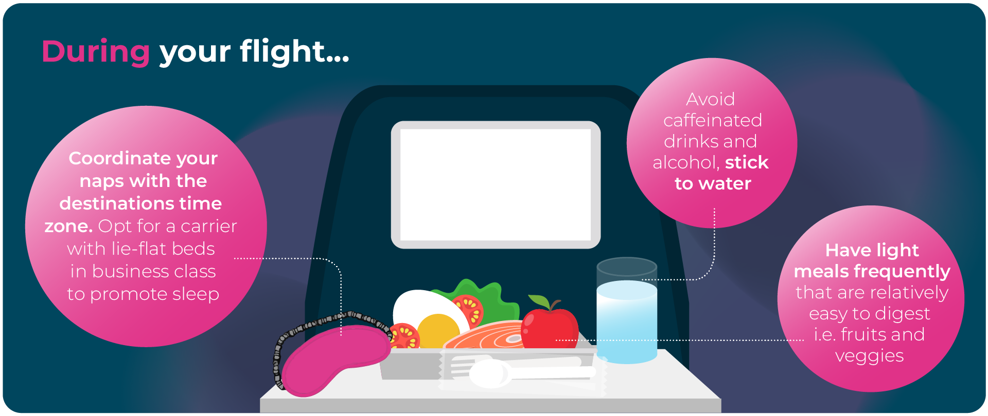Infographic - reducing business travel jet lag during your flight